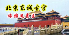 看看黄色网站肏屄视频中国北京-东城古宫旅游风景区